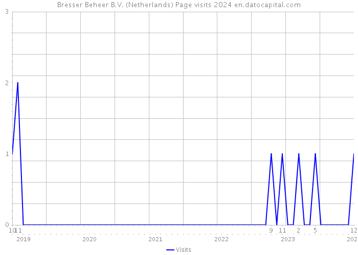 Bresser Beheer B.V. (Netherlands) Page visits 2024 
