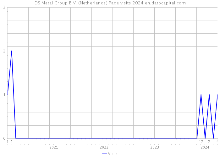 DS Metal Group B.V. (Netherlands) Page visits 2024 