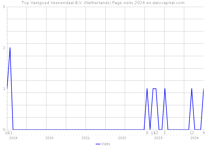 Top Vastgoed Veenendaal B.V. (Netherlands) Page visits 2024 