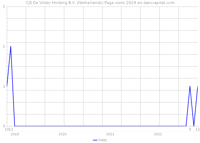 CJS De Vilder Holding B.V. (Netherlands) Page visits 2024 