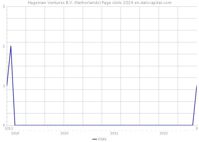 Hageman Ventures B.V. (Netherlands) Page visits 2024 