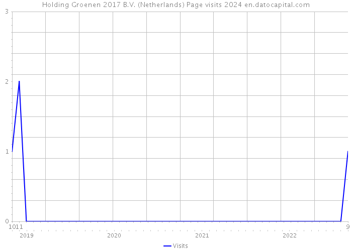 Holding Groenen 2017 B.V. (Netherlands) Page visits 2024 