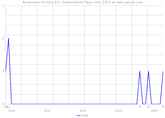 Bouwmans Holding B.V. (Netherlands) Page visits 2024 
