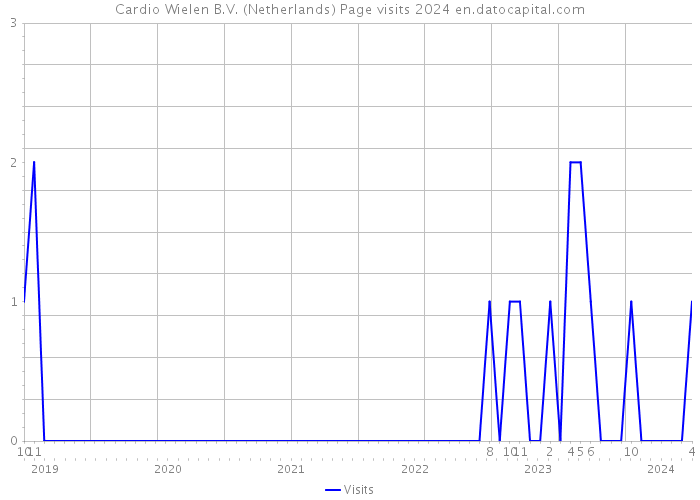 Cardio Wielen B.V. (Netherlands) Page visits 2024 