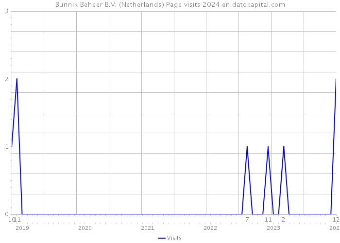Bunnik Beheer B.V. (Netherlands) Page visits 2024 