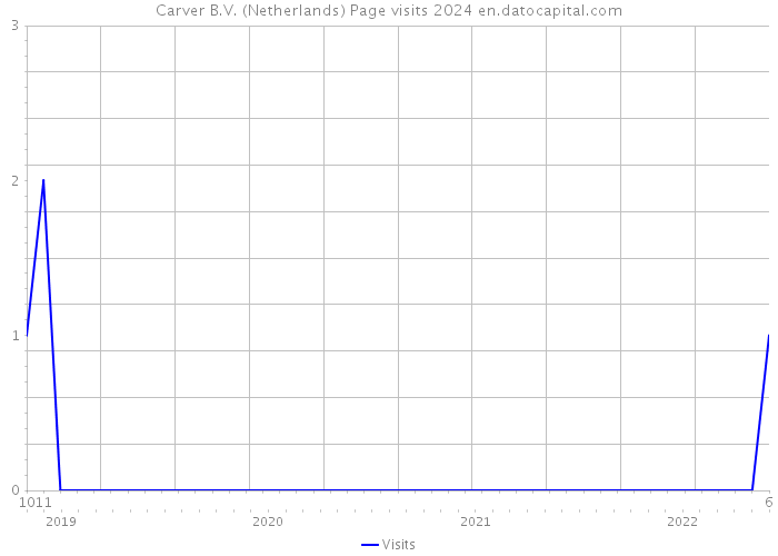 Carver B.V. (Netherlands) Page visits 2024 