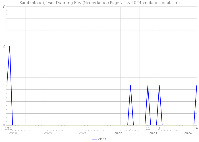 Bandenbedrijf van Duurling B.V. (Netherlands) Page visits 2024 