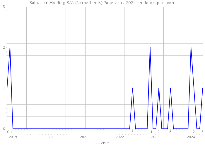 Baltussen Holding B.V. (Netherlands) Page visits 2024 