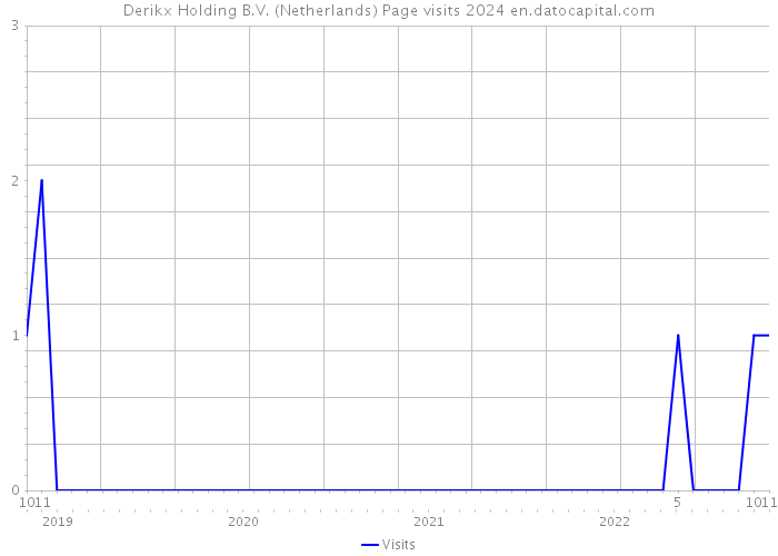 Derikx Holding B.V. (Netherlands) Page visits 2024 