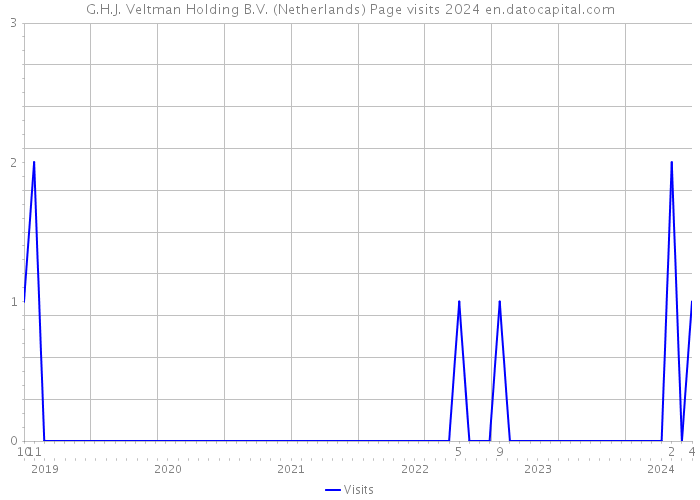 G.H.J. Veltman Holding B.V. (Netherlands) Page visits 2024 