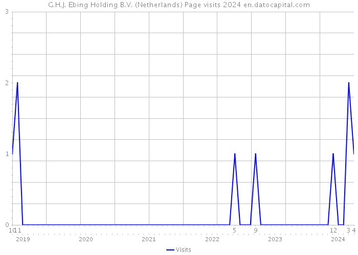 G.H.J. Ebing Holding B.V. (Netherlands) Page visits 2024 