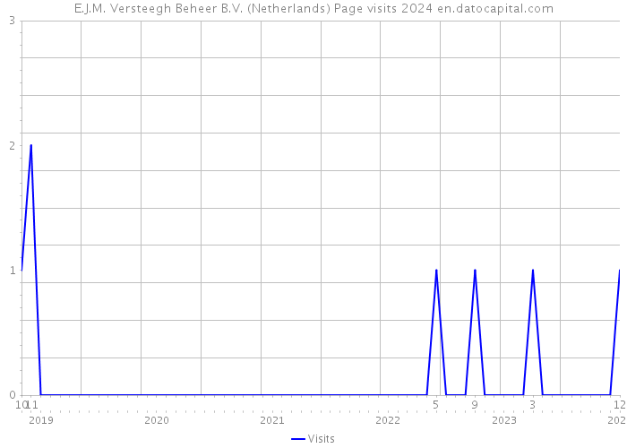 E.J.M. Versteegh Beheer B.V. (Netherlands) Page visits 2024 