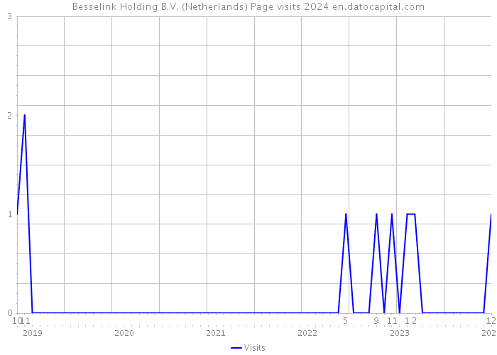 Besselink Holding B.V. (Netherlands) Page visits 2024 
