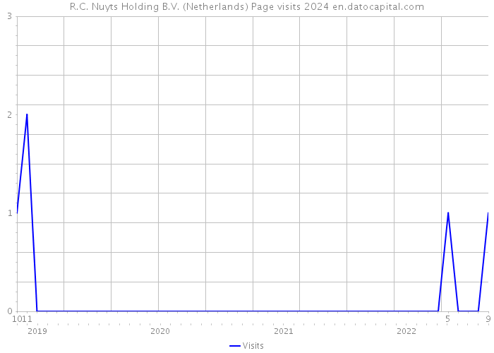 R.C. Nuyts Holding B.V. (Netherlands) Page visits 2024 