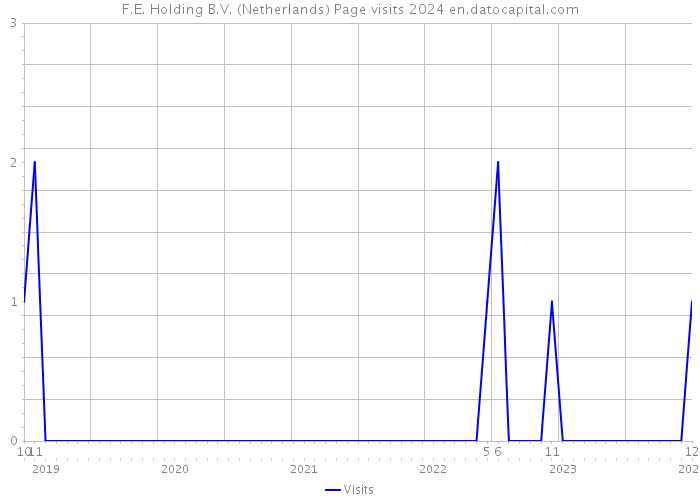 F.E. Holding B.V. (Netherlands) Page visits 2024 