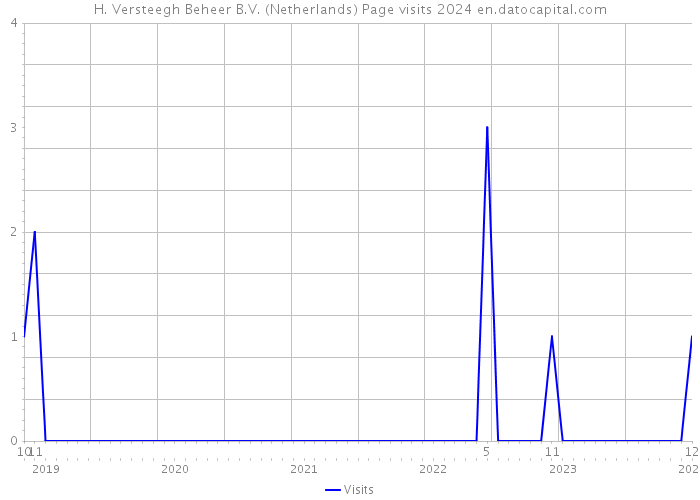 H. Versteegh Beheer B.V. (Netherlands) Page visits 2024 