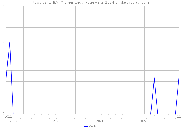Koopjeshal B.V. (Netherlands) Page visits 2024 