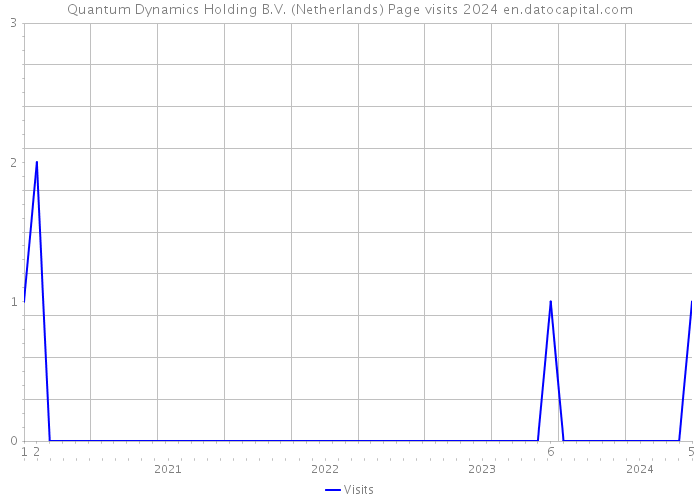 Quantum Dynamics Holding B.V. (Netherlands) Page visits 2024 