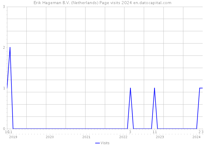 Erik Hageman B.V. (Netherlands) Page visits 2024 