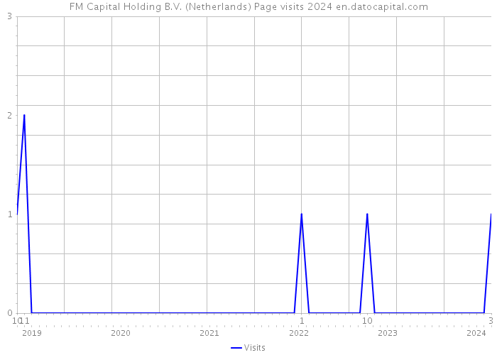 FM Capital Holding B.V. (Netherlands) Page visits 2024 