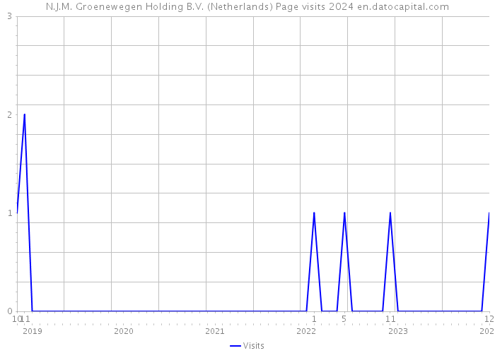 N.J.M. Groenewegen Holding B.V. (Netherlands) Page visits 2024 