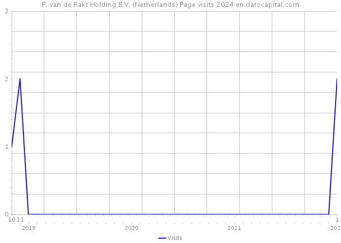 P. van de Rakt Holding B.V. (Netherlands) Page visits 2024 