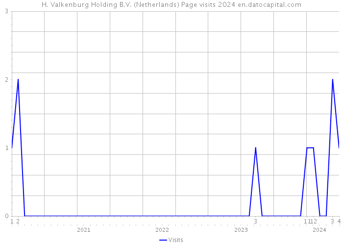 H. Valkenburg Holding B.V. (Netherlands) Page visits 2024 