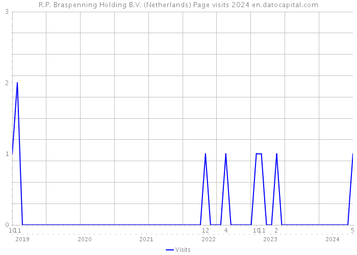 R.P. Braspenning Holding B.V. (Netherlands) Page visits 2024 