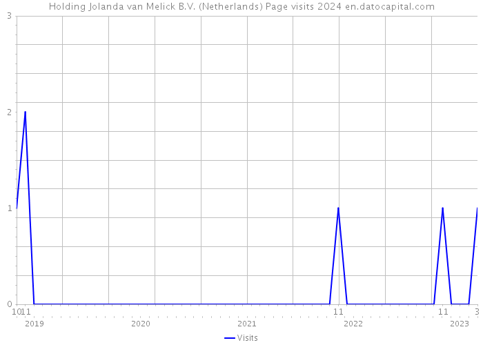 Holding Jolanda van Melick B.V. (Netherlands) Page visits 2024 
