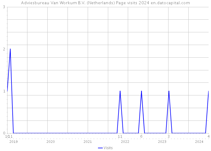 Adviesbureau Van Workum B.V. (Netherlands) Page visits 2024 
