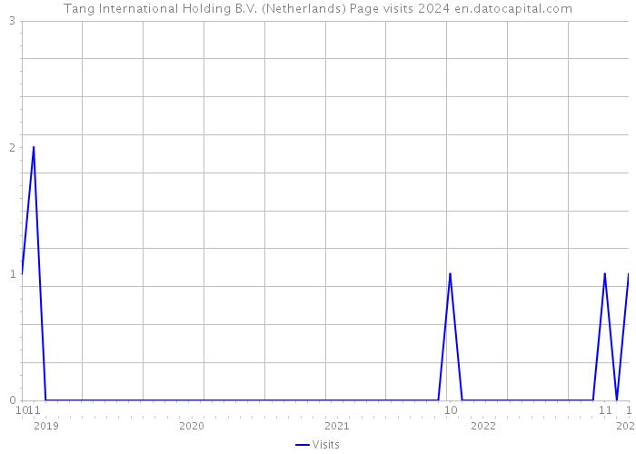 Tang International Holding B.V. (Netherlands) Page visits 2024 