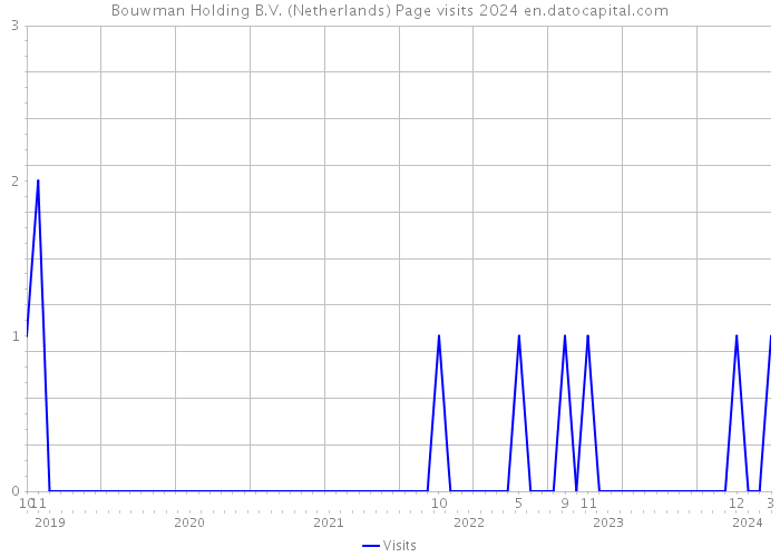 Bouwman Holding B.V. (Netherlands) Page visits 2024 