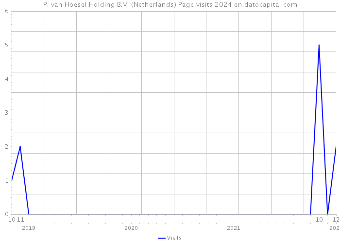 P. van Hoesel Holding B.V. (Netherlands) Page visits 2024 