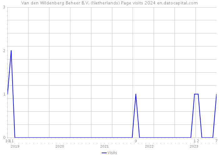 Van den Wildenberg Beheer B.V. (Netherlands) Page visits 2024 