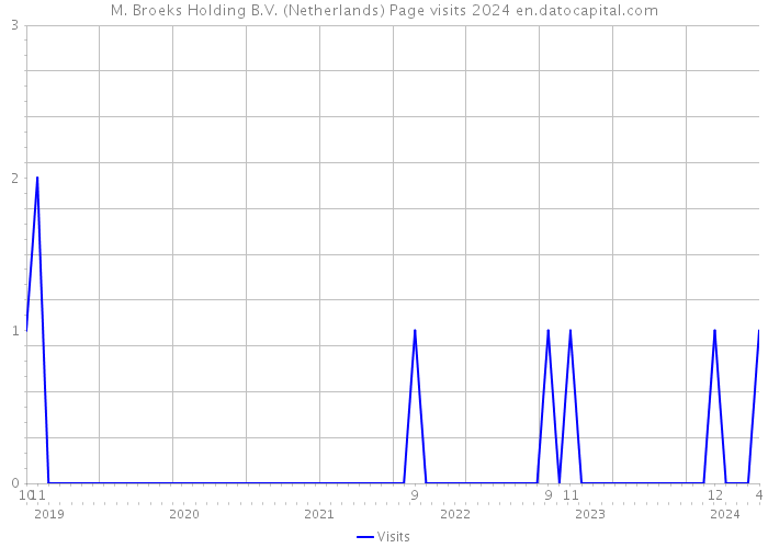 M. Broeks Holding B.V. (Netherlands) Page visits 2024 