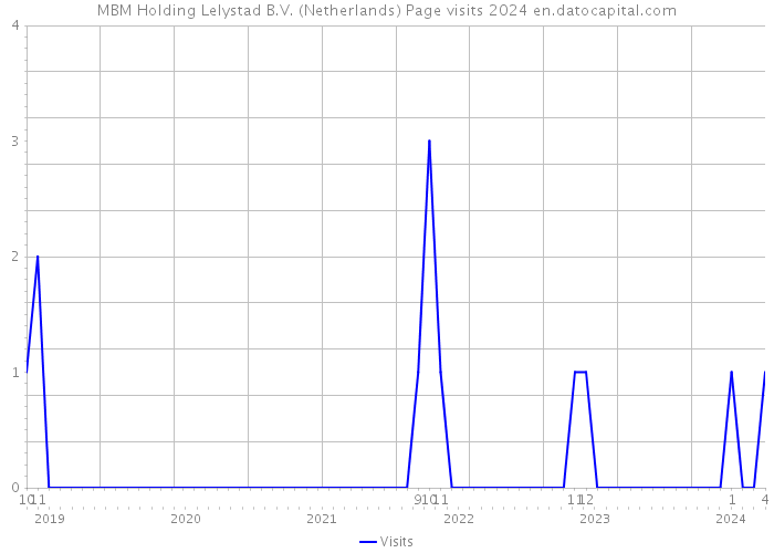 MBM Holding Lelystad B.V. (Netherlands) Page visits 2024 