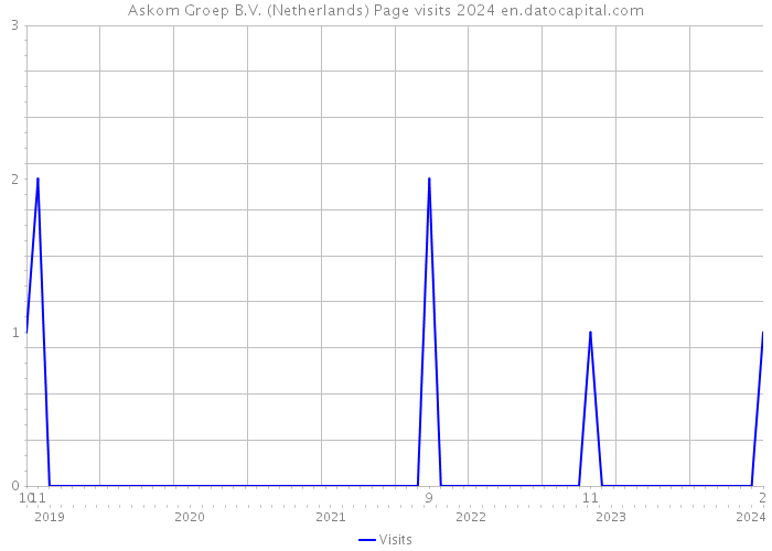 Askom Groep B.V. (Netherlands) Page visits 2024 
