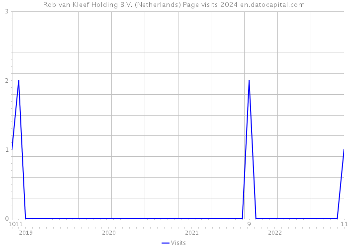 Rob van Kleef Holding B.V. (Netherlands) Page visits 2024 