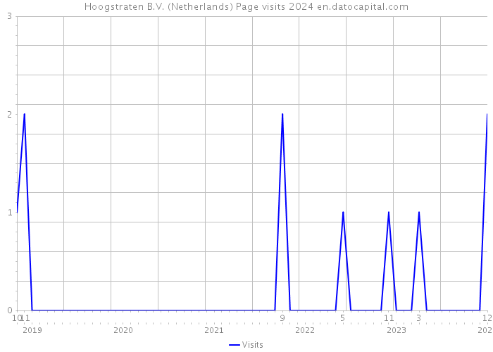 Hoogstraten B.V. (Netherlands) Page visits 2024 