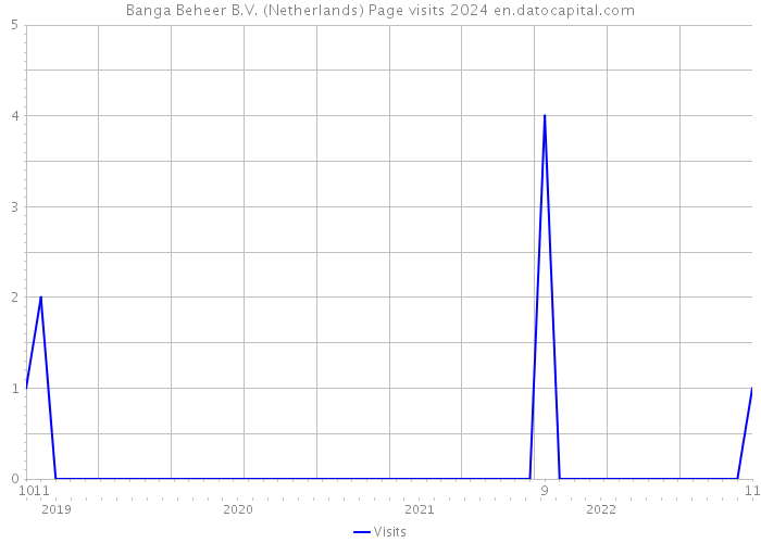 Banga Beheer B.V. (Netherlands) Page visits 2024 