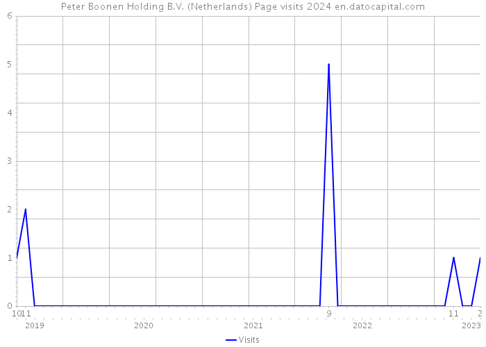 Peter Boonen Holding B.V. (Netherlands) Page visits 2024 