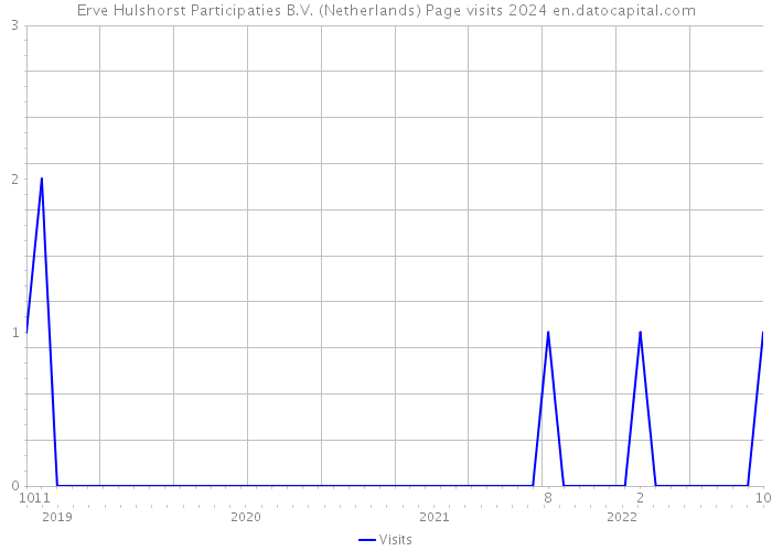 Erve Hulshorst Participaties B.V. (Netherlands) Page visits 2024 