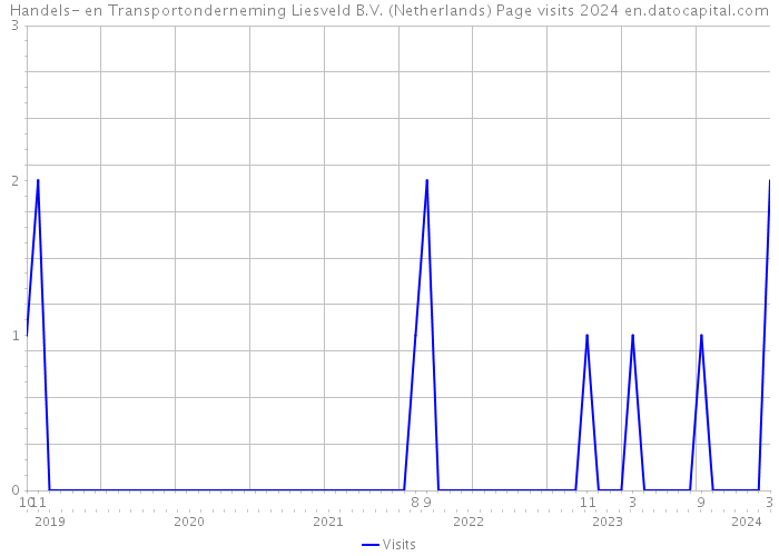 Handels- en Transportonderneming Liesveld B.V. (Netherlands) Page visits 2024 