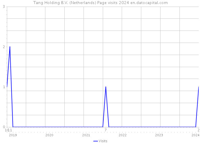Tang Holding B.V. (Netherlands) Page visits 2024 