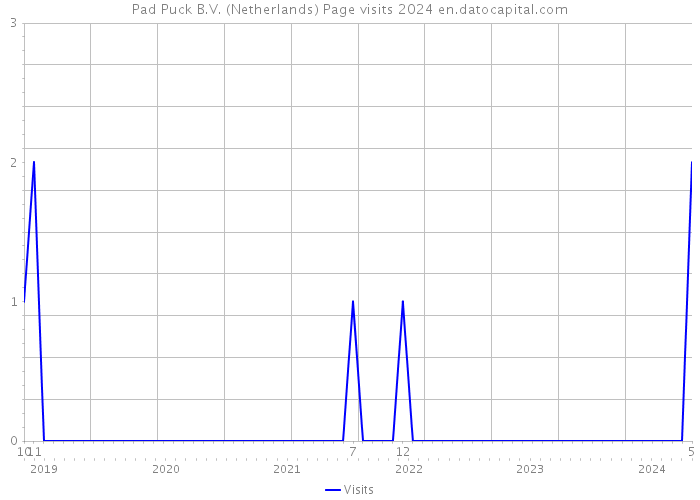 Pad Puck B.V. (Netherlands) Page visits 2024 