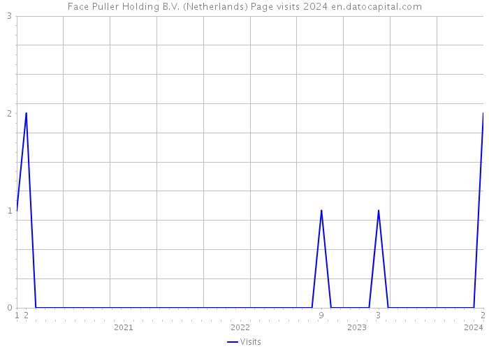 Face Puller Holding B.V. (Netherlands) Page visits 2024 