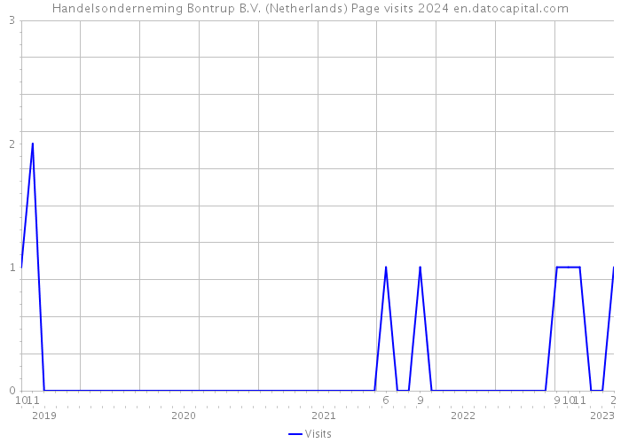 Handelsonderneming Bontrup B.V. (Netherlands) Page visits 2024 
