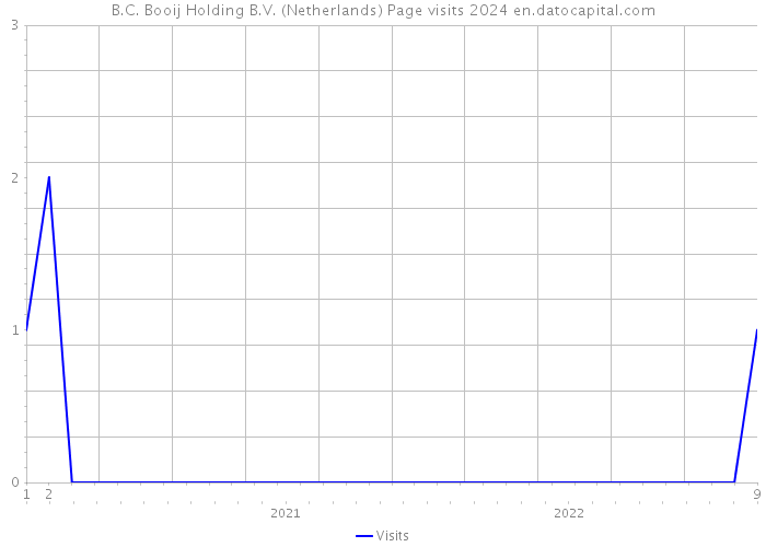 B.C. Booij Holding B.V. (Netherlands) Page visits 2024 