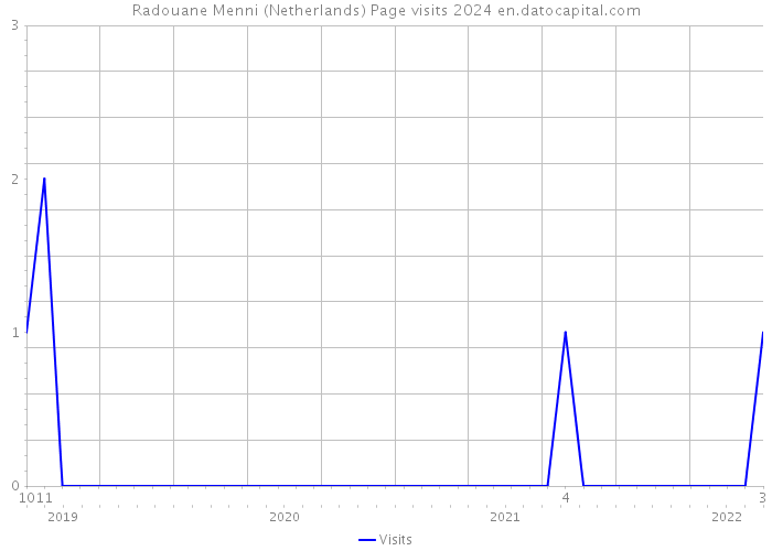 Radouane Menni (Netherlands) Page visits 2024 