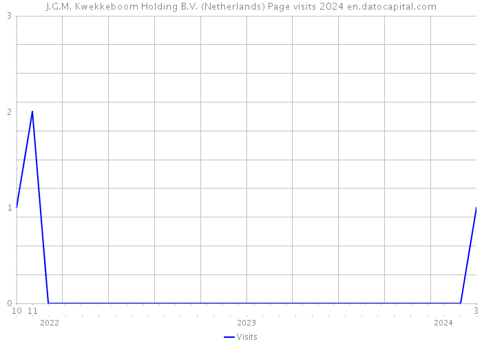 J.G.M. Kwekkeboom Holding B.V. (Netherlands) Page visits 2024 
